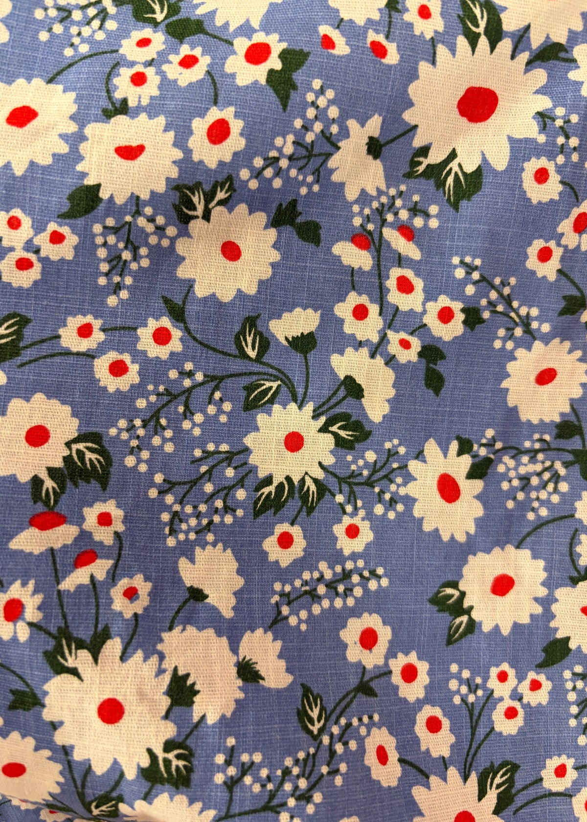 Sandy Aline kjole - daisy print swing kjole Daisy Dapper